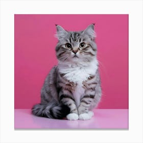 Portrait Of A Cat 1 Canvas Print