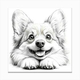 Welsh Corgi Canvas Print