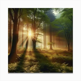 Sunrise In The Forest 10 Canvas Print