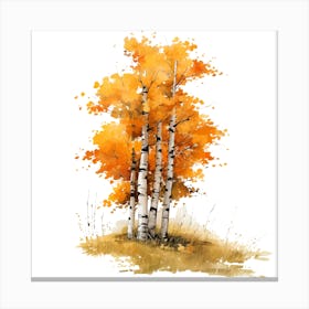 Autumn Birch Trees Canvas Print