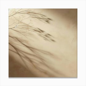 Shadow Of A Tree 3 Canvas Print