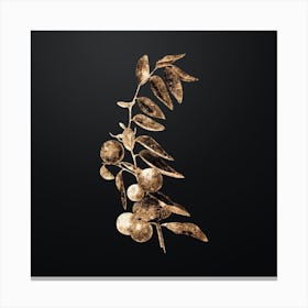 Gold Botanical Chinese Jujube on Wrought Iron Black Canvas Print