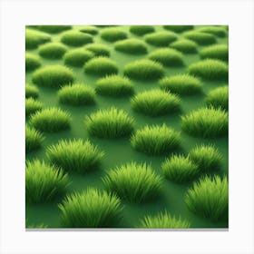 Grass Field 14 Canvas Print