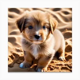 A small, adorable puppy with a golden coat and dark eyes is sitting on sandy ground. The puppy has a white patch on its chest and appears to be looking directly at the camera with a curious expression Canvas Print