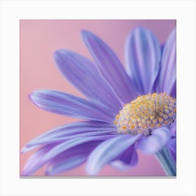 Pastel colour Chamomile Flower Canvas Print