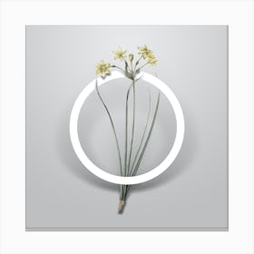 Vintage Rush Daffodil Minimalist Botanical Geometric Circle on Soft Gray Canvas Print