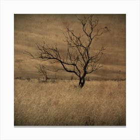 Stormy tree 3 Canvas Print