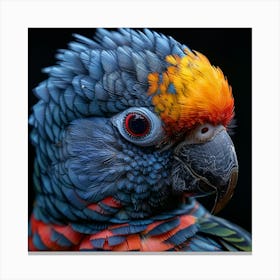 Colorful Parrot 4 Canvas Print