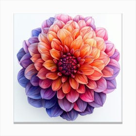 Dahlia 10 Canvas Print