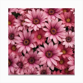 Pink Daisies Canvas Print