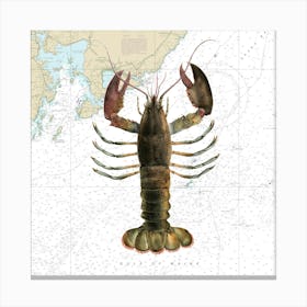 American Lobster By James Ellsworth De Kay On Maine Nautical Chart Canvas Print