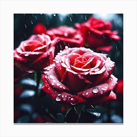 Raindrops on Red Floribunda Roses Canvas Print