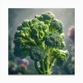 Green Broccoli In The Garden Canvas Print