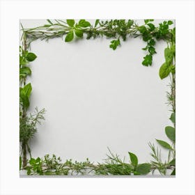 Herbs As A Frame (56) Canvas Print