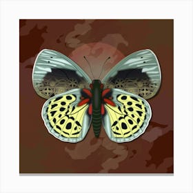 Mechanical Butterfly The Asterope Leprieuri Philotina On A Brown Background Canvas Print