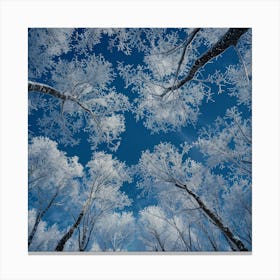 Snowy Forest 4 Canvas Print