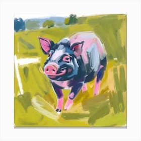 Hampshire Pig 03 Canvas Print