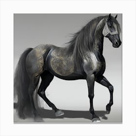 Black Horse Canvas Print