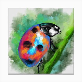 Ladybug 1 Square Canvas Print