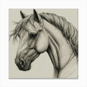 Horse'S Head 2 Canvas Print