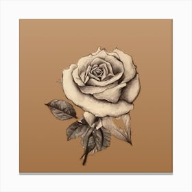 Rose flower scatch Canvas Print