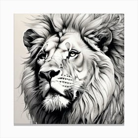 Lion Drawing Canvas Print