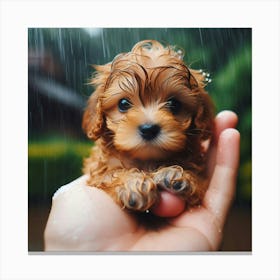 Puppy In Rain 1 Canvas Print