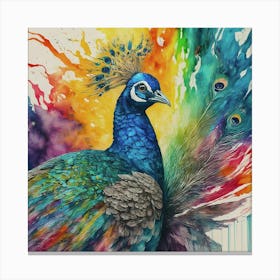 Peacock art print art print Canvas Print