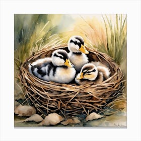 Ducklings In Nest 1 Canvas Print