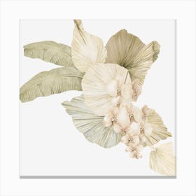 White Orchids Canvas Print