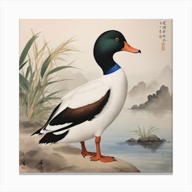 Chinese Duck Canvas Print
