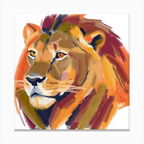 African Lion 01 Canvas Print
