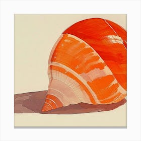 Orange Shell Canvas Print