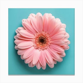 Pink Gerbera Flower Canvas Print