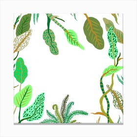 Plant Dreams Canvas Print
