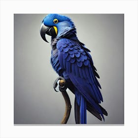 Blue Parrot 6 Canvas Print