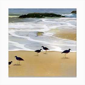 Sandpipers On The Beach Canvas Print