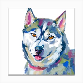 Siberian Husky 02 Canvas Print