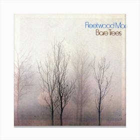 Fleetwood Mac Cover Album 5 Canvas Print