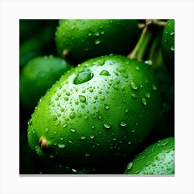 Green Mangoes Canvas Print