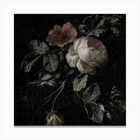 Roses On A Black Background Canvas Print