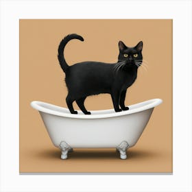 Black Cat In Bathtub 2 Canvas Print