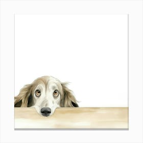 Dachshund 28 Canvas Print