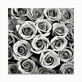 Black And White Roses 26 Canvas Print