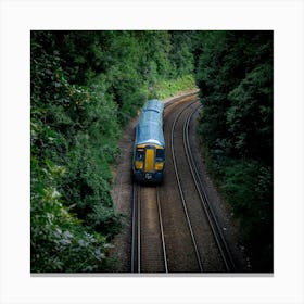 Train In The Woods Canvas Print