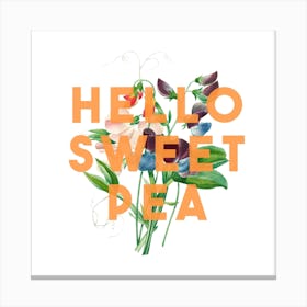 Hello Sweet Pea Square Canvas Print
