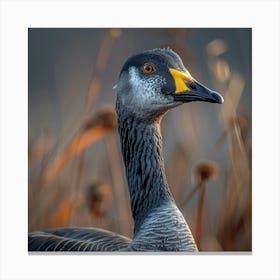 Goose Canvas Print