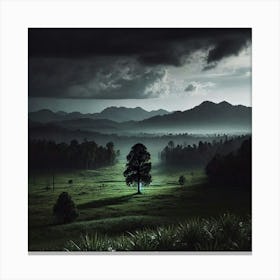 Lone Tree In A Field 2 Canvas Print