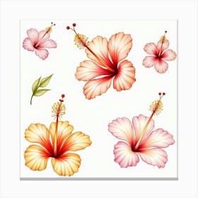 A Watercolor Arrangement Of Tropical Hibiscus Flowers 1 Canvas Print