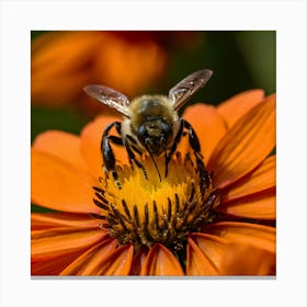 Bee On A Flower 3 Canvas Print